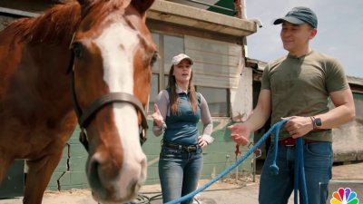 Preakness preview: Look inside a stable and meet a horse named Leroy